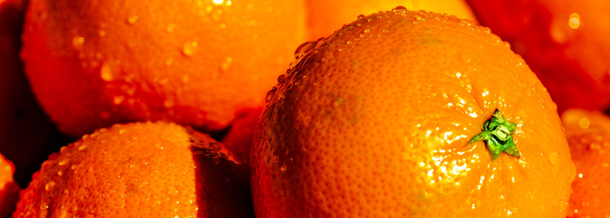 短信轰炸免费在线网站