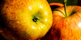 短信验证码轰炸在线版